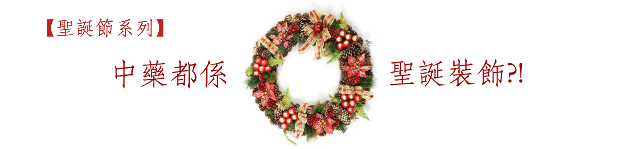 christmasdecor1